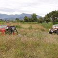 Viareggio2006_029.JPG